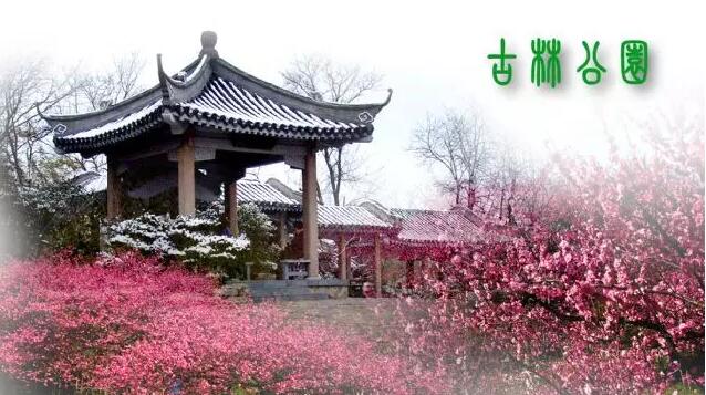 <b>【南京三門灣電器】周日4.24古林公園賞牡丹花、</b>